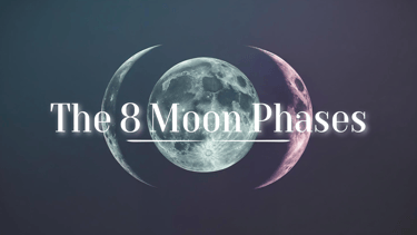 The 8 Moon Phases