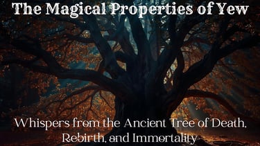 The Magical Properties of Yew