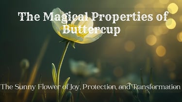 The Magical Properties of Buttercup