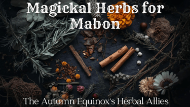 Magickal Herbs for Mabon: The Autumn Equinox’s Herbal Allies
