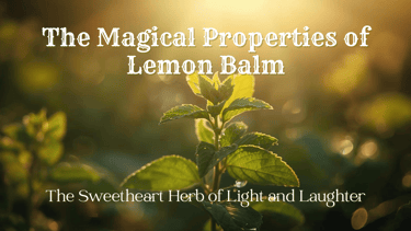 The Magical Properties of Lemon Balm — The Sweetheart Herb of Light and Laughter