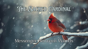 Sacred Cardinal