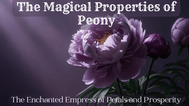 The Magical Properties of Peony — The Enchanted Empress of Petals and Prosperity