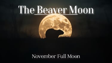 The Beaver Moon (November’s Full Moon)