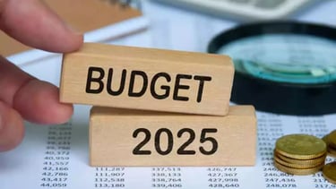Budget 2025-26: Taxpayers’ Expectations and Key Reforms Needed for Greater Financial Relief