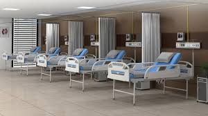 Narayana Hrudayalaya's Q2 FY25 Report: Revenue Growth Amid Profit Decline and Valuation Concerns