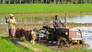 India’s Agriculture Landscape: Northeast Monsoon Ends, Rabi Crops Progress, and Key Trends to Watch