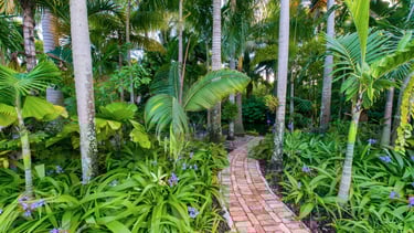 Christine Knize's Tropical Paradise in Miami