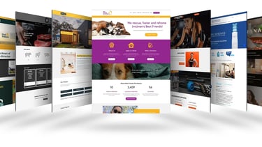 Affortable Business website package, namibia business website design