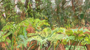the giant Gunnera manicata