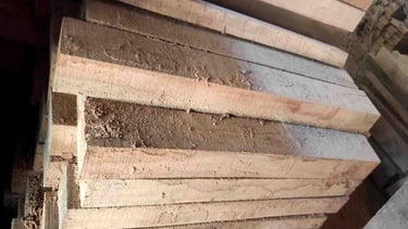 “High-quality Sal wood (Shorea robusta) cut-size timber front view for export use”