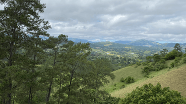 Jarabaco La Vega, Dominican Republic