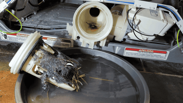 washer repair near me