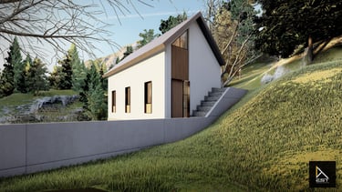 Proiect reconversie functionala