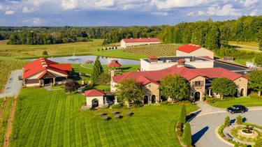 childress vinyards, Lexington NC wedding venue, wedding art