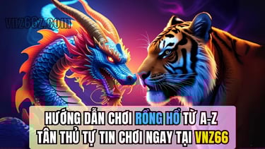 Hướng dẫn chơi Rồng Hổ cho người mới tại VNZ66, hình ảnh minh họa bàn cược đơn giản và dễ hiểu