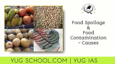 Food Spoilage and Food Contamination - Causes