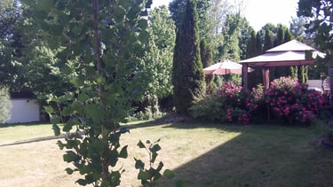 Back Yard Patio Gazebo 