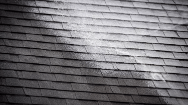 shingle roof soft washing services