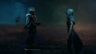 Capture d'écran du jeu Expedition 33