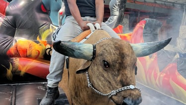Toro Mecanico en Venta Fabricante de Toros Mecanicos
