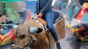 Toro Mecanico en Venta Fabricante de Toros Mecanicos