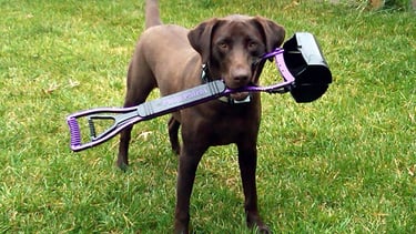 a dog with a poop scooper in its mouth