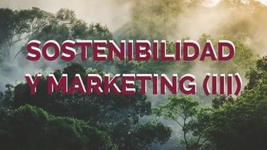Sostenibilidad y marketing (III) texto sobre bosque nublado
