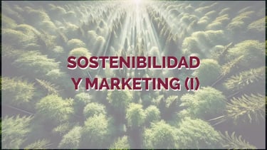 Sostenibilidad y marketing, vista de bosque a vista de dron
