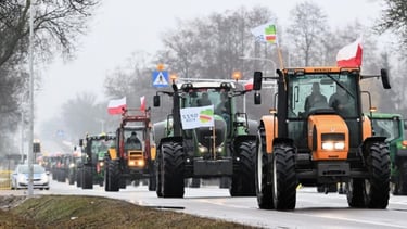 Les agriculteurs polonais se mobilisent contre le Green Deal et les importations ukrainiennes