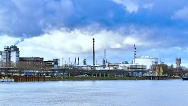 La part de l’industrie va diminuer dans l’économie de l’UE, selon le PDG de BASF