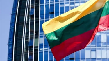 La Lituanie envisage d'aider l'Ukraine à récupérer ses hommes en âge de servir dans l'armée