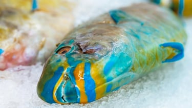 Frischer Fisch auf einem Kühlbett aus Scherbeneis