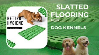 VT slatted flooring for Dog Kennels poster