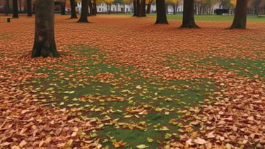 Fall image with some leaves ready to rake