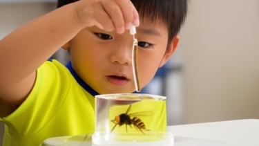 堺市生活衛生センターで蜂の標本を作っている小学生の画像