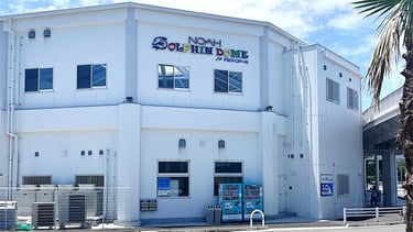 堺市堺区大浜北町にあるノアドルフィンドームの外観。イルカとのふれあい体験ができる都市型施設で、イベント会場にもなっている建物|堺市のイベント情報ならサカイタイムズ