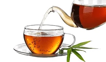 Gluco6 Review : TeaCrine is Chinese tea leaves