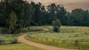 a dirt road with a fenced in forest