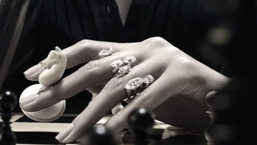 A luxurious chess player as a metaphor for a strategic investment