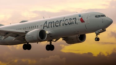 American Airlines Plane customer service