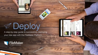 Programs 101 FileMaker Consulting deployment