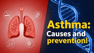 अस्थमा के जेनेटिक और पर्यावरणीय कारण – फेफड़ों की सूजी हुई नलियों का चित्र, साथ में DNA, धुआं, धूल