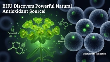 BHU में दुधिया घास से मिले प्राकृतिक एंटीऑक्सिडेंट यौगिकों की खोज की छवि