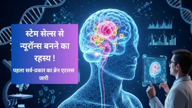 Scientists create first brain development atlas showing how stem cells transform into neurons.