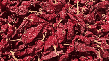 Dabbi Kashmiri chilli-premium variety from Nadaf Enterprises