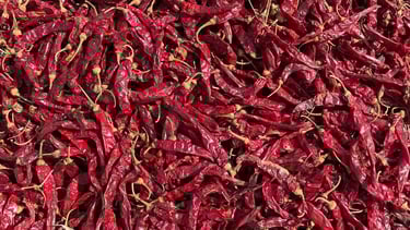 Devanur Deluxe Chilli-premium variety from Nadaf Enterprises