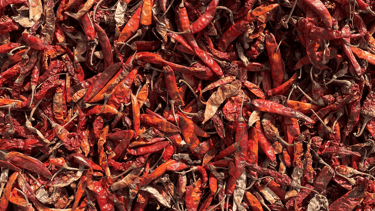 Guntur Chilli medium grade-premium variety from Nadaf Enterprises