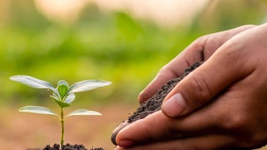 Gros plan main jardinant 