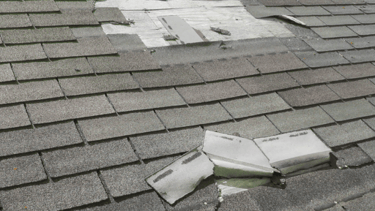 Residential and Commercial Roof Repair Services